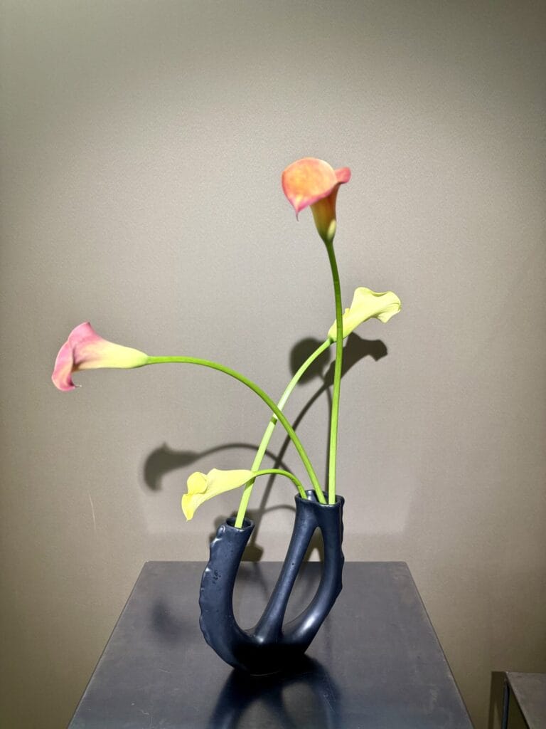 カラーを使った生け花作品 Ikebana works with color