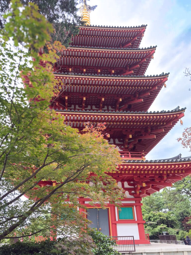 青もみじと五重塔のコントラスト（高幡不動尊） / Contrast of green maple leaves and five-story pagoda