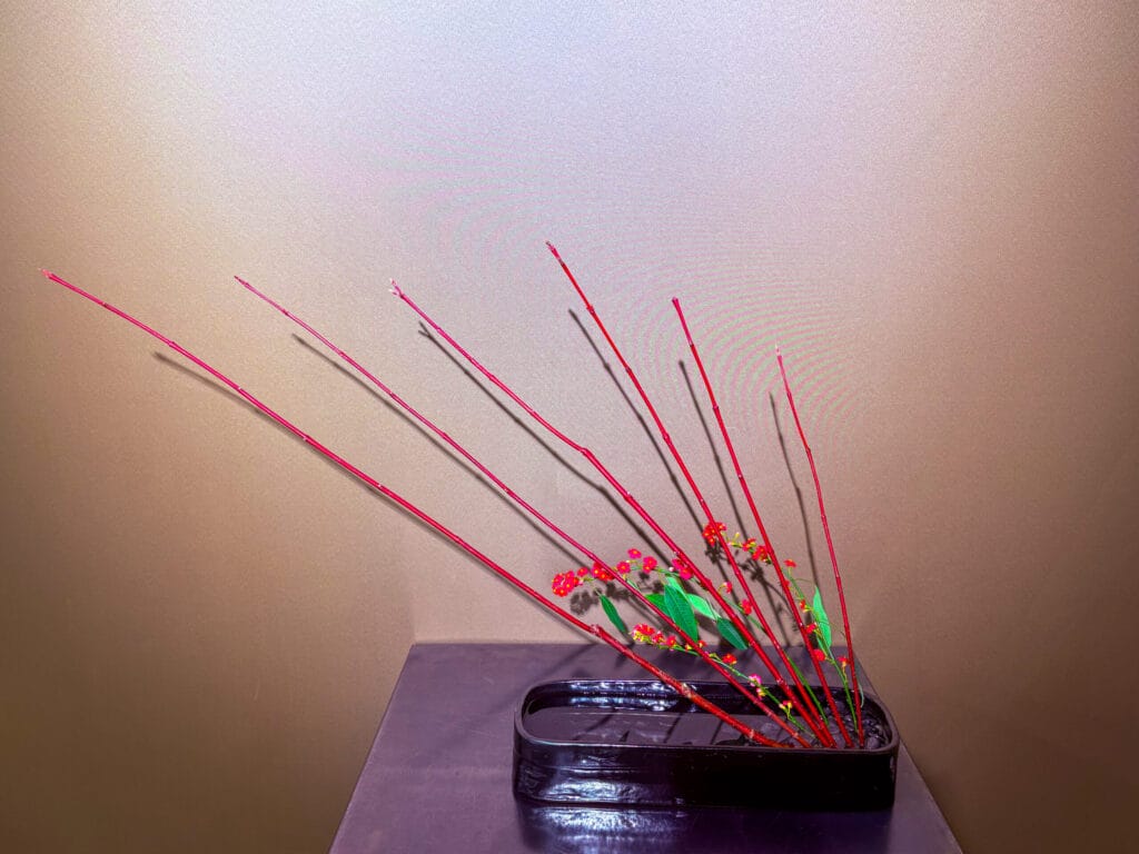 ユーフォルビアとサンゴミズキで構成された冬の生け花作品 / Winter ikebana arrangement featuring euphorbia and coral dogwood branches
