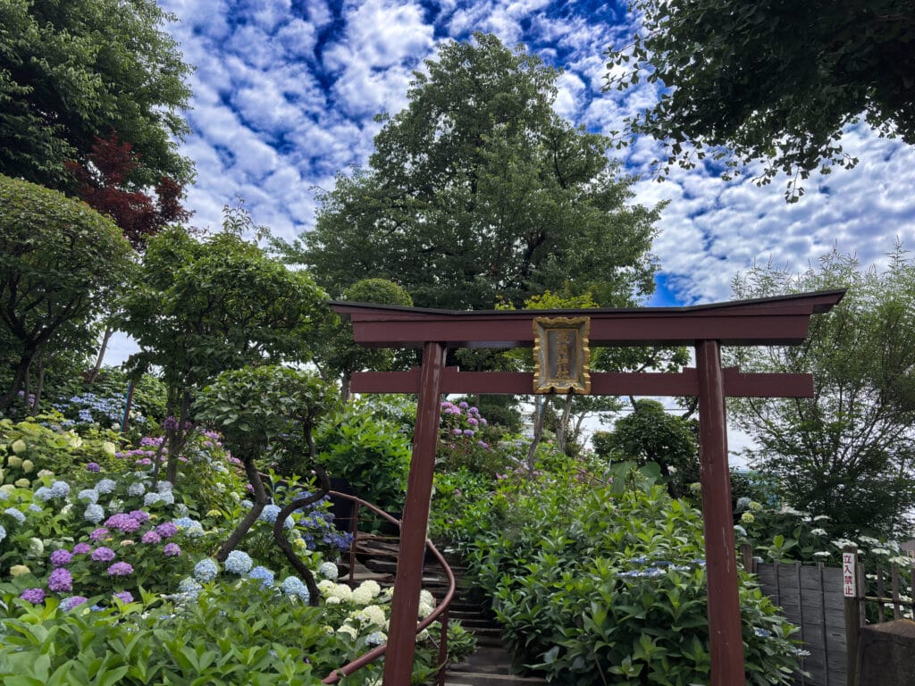 富士塚の赤い鳥居と登拝の順番を待つ人々 Red torii gate of Fuji-zuka and visitors lining up