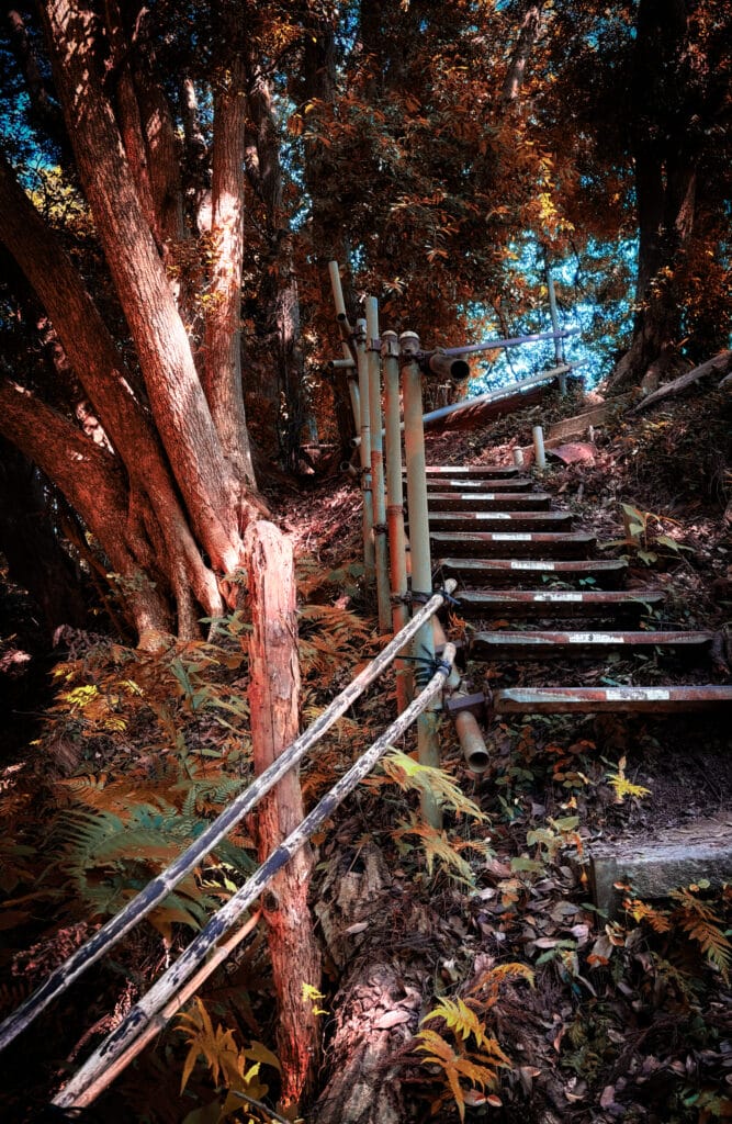紅葉風の色調で写された山道の階段と竹の手すり Rustic steps and bamboo handrails on a hillside path in autumn tones