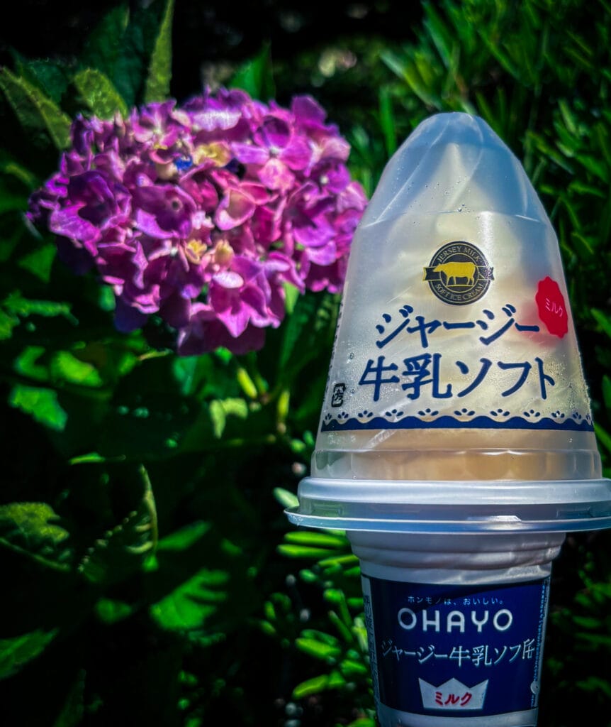紫陽花を背景にしたご当地ソフトクリーム Local soft-serve ice cream with hydrangeas in the background