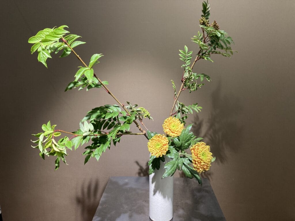 白い花器に生けられたライデンナナカマドの枝と黄色い菊の生け花作品。和モダンな空間に映える構成 Ikebana arrangement with Japanese rowan branches and yellow chrysanthemums in a white vase, set against a modern Japanese-style background.  