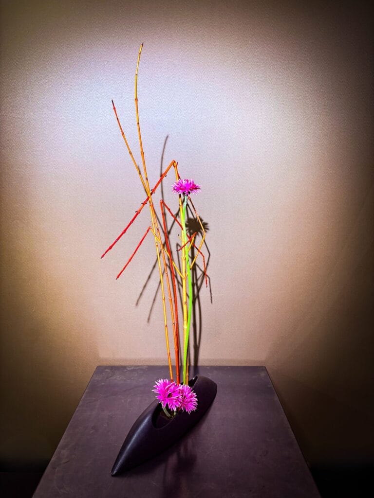 サンゴミズキとガーベラを使った冬のいけばな作品 / Ikebana arrangement with red twig dogwood and gerbera, expressing winter stillness 