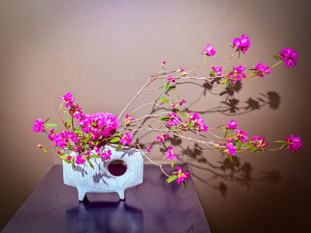 吉野躑躅を使った一種いけの生け花作品。空洞のあるモダンな花器に、右へと伸びる枝ぶりが印象的。 Solo Ikebana arrangement with Yoshino Azalea in a modern vase. Dynamic branches extend rightward, highlighting line and space.