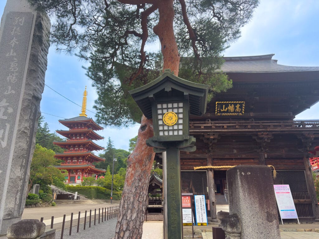 高幡不動尊の山門と五重塔 / Main gate and five-story pagoda at Takahata Fudoson