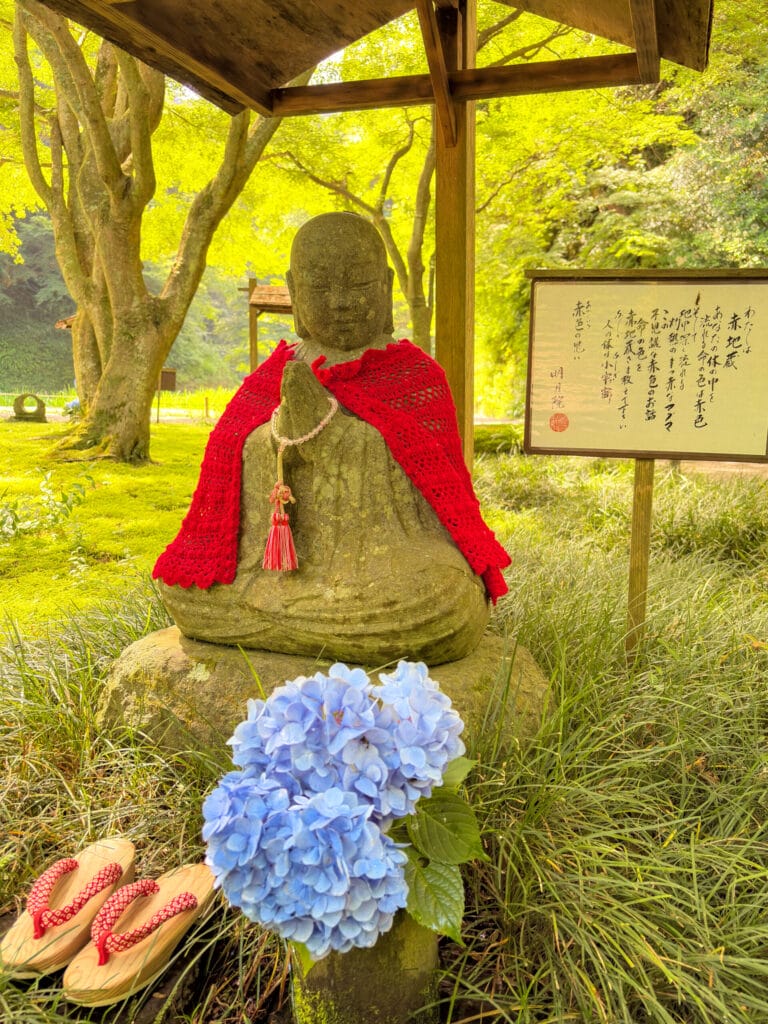 赤い前掛けと紫陽花に囲まれた明月院の地蔵像（赤地蔵） / Red-bibbed Jizo statue surrounded by hydrangeas at Meigetsuin (Red Jizo)  