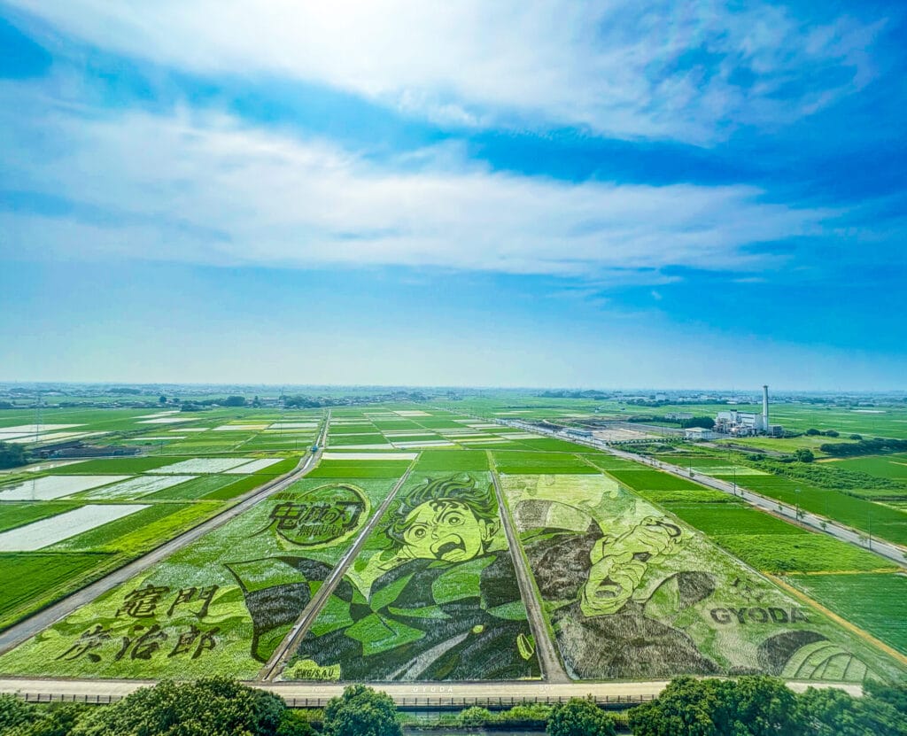 行田タワーから見た田んぼアート Rice paddy art viewed from Gyoda Tower 
