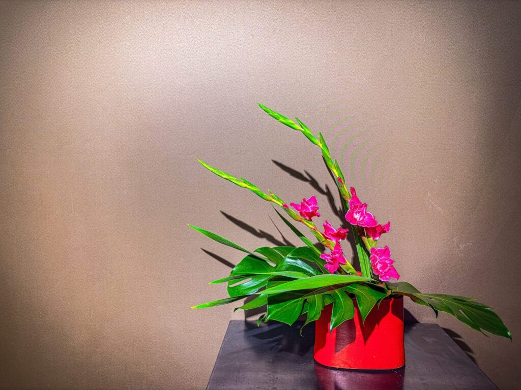 グラジオラスとモンステラを使った初夏の生け花作品（正面）	
Ikebana arrangement with gladiolus and monstera for early summer (front view)