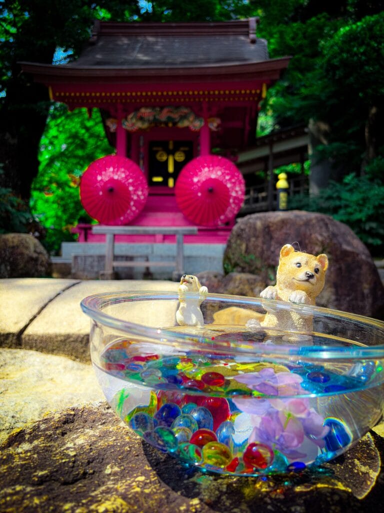 ピンク色の社殿前に飾られたビー玉と動物の置物 Animal figurines and glass bowl in front of a pink shrine building