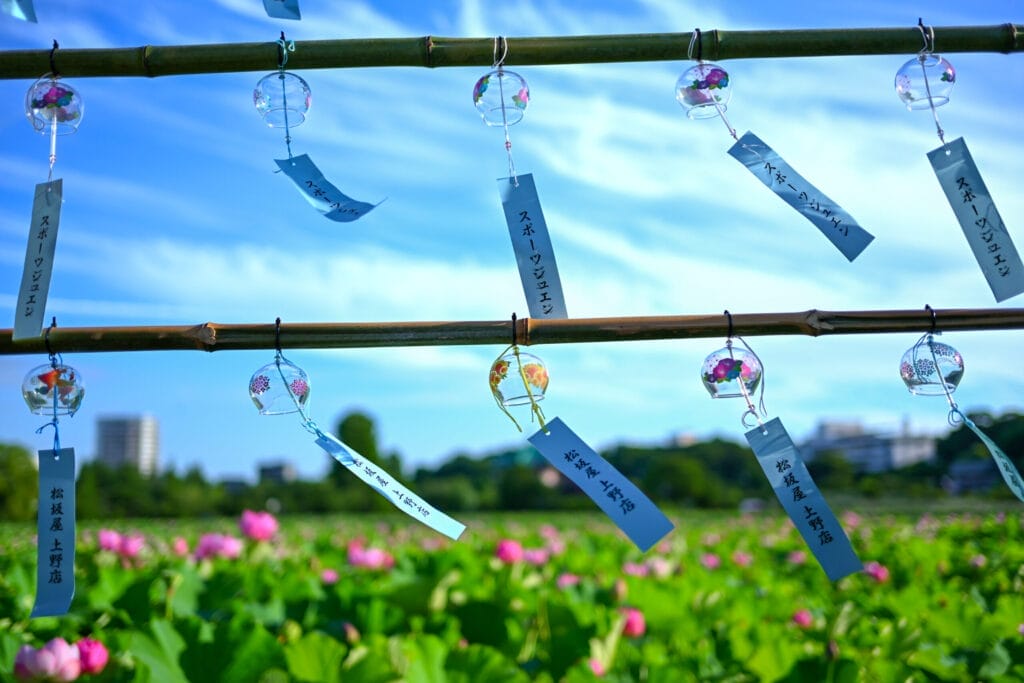 不忍池の蓮の花と竹枠に吊るされた風鈴。青空の下、夏らしい風景が広がる。