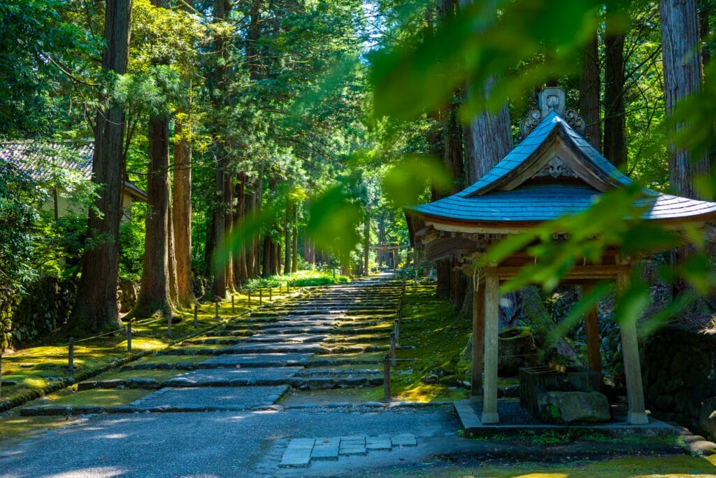 平泉寺白山神社の杉並木の参道と手水舎。 