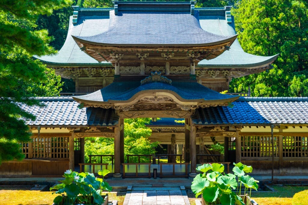永平寺の山門と前庭に咲く蓮。木造建築の重厚さと緑のコントラストが美しい 