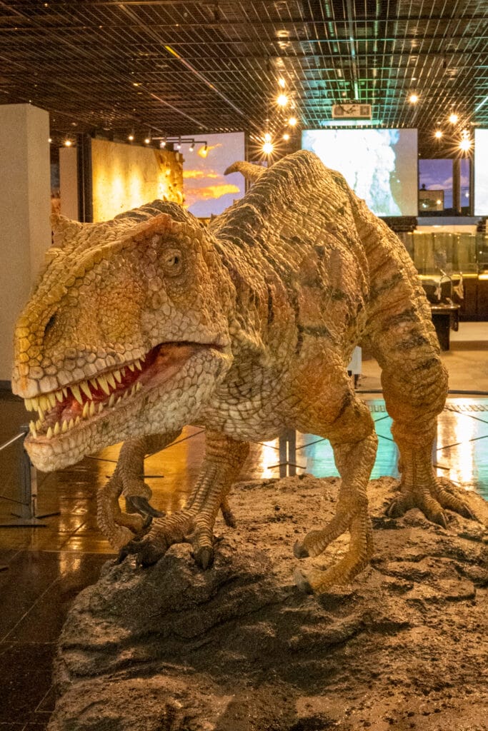 福井県立恐竜博物館に展示されている肉食恐竜の復元模型。鋭い歯と力強い脚が特徴的で、リアルな姿が来館者を圧倒する展示