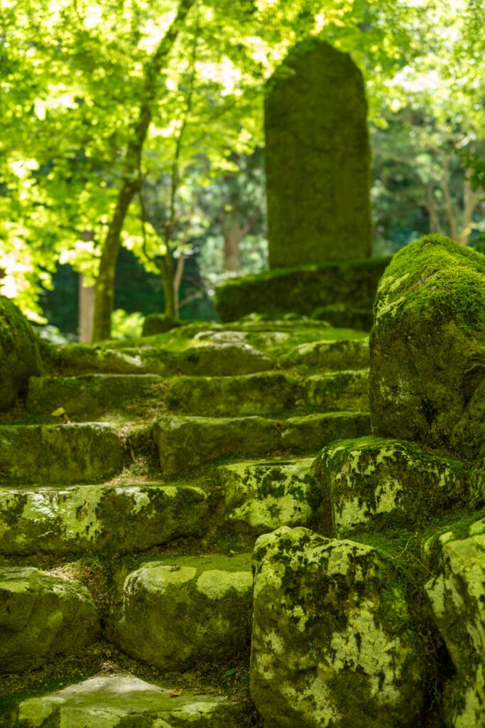 永平寺の境内にある苔むした石段と、奥に佇む石碑。 