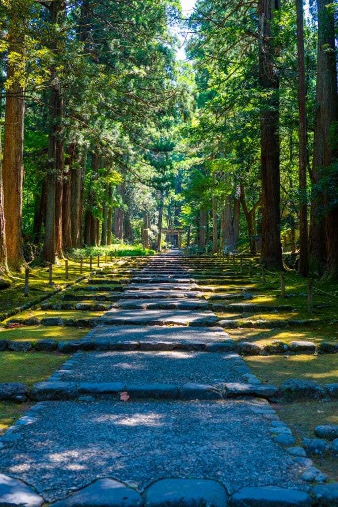 杉並木に囲まれた平泉寺白山神社の石畳の参道。 