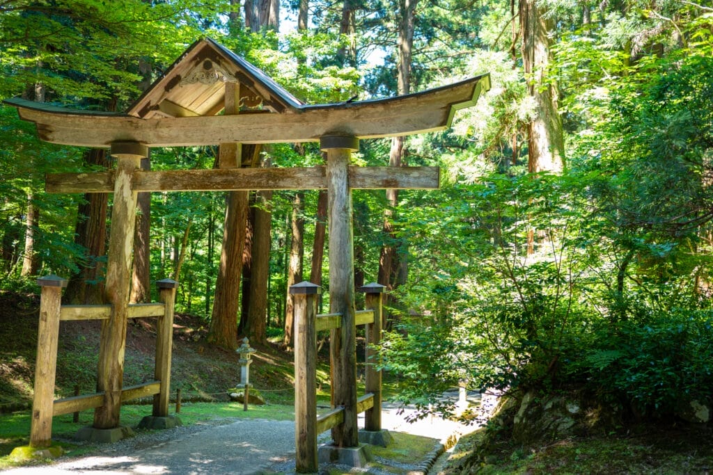 平泉寺白山神社の屋根付き木製鳥居と背後に広がる杉林。 